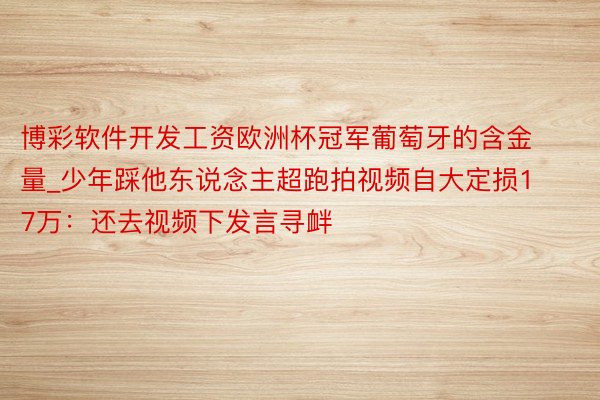 博彩软件开发工资欧洲杯冠军葡萄牙的含金量_少年踩他东说念主超跑拍视频自大定损17万：还去视频下发言寻